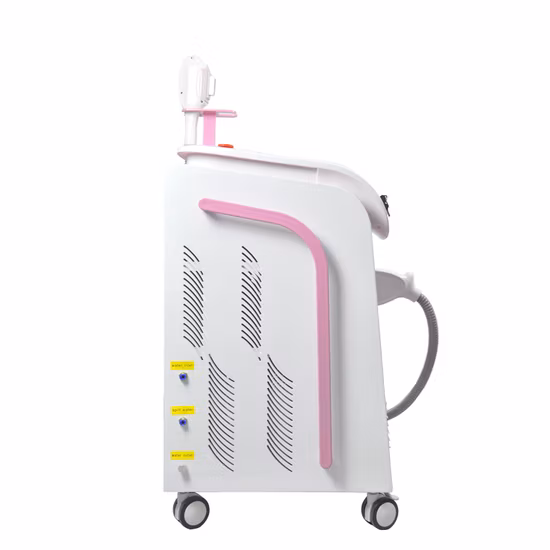 Renlang Serie de depilación IPL Equipo de belleza magneto-óptico de una sola mano